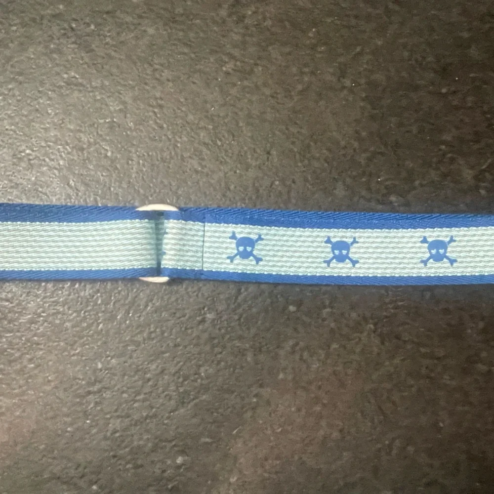 Pirate Belt